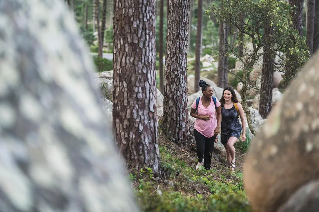 10 L Hiking Backpack, Arpenaz NH100