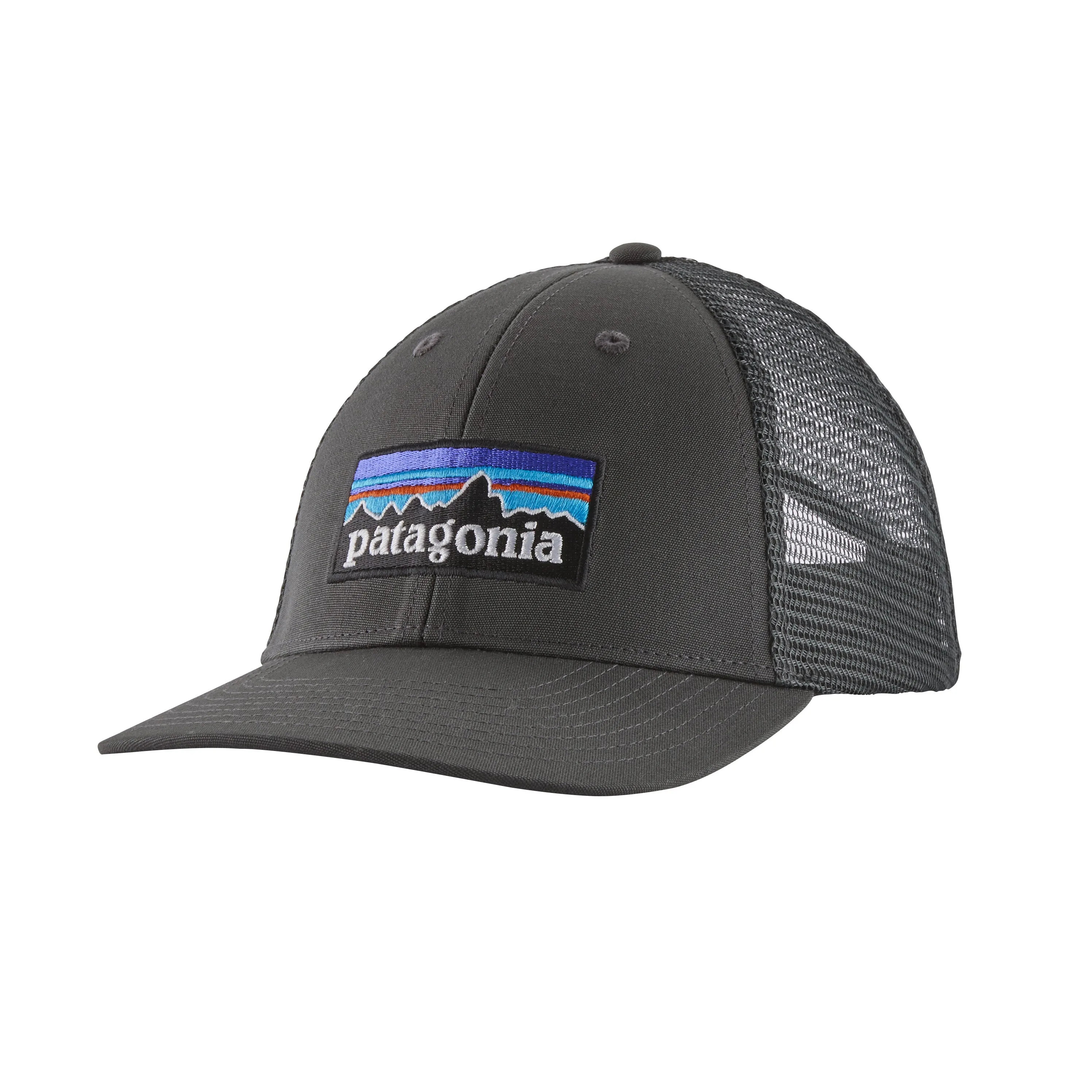 Patagonia Adults P-6 Logo LoPro Trucker Cap