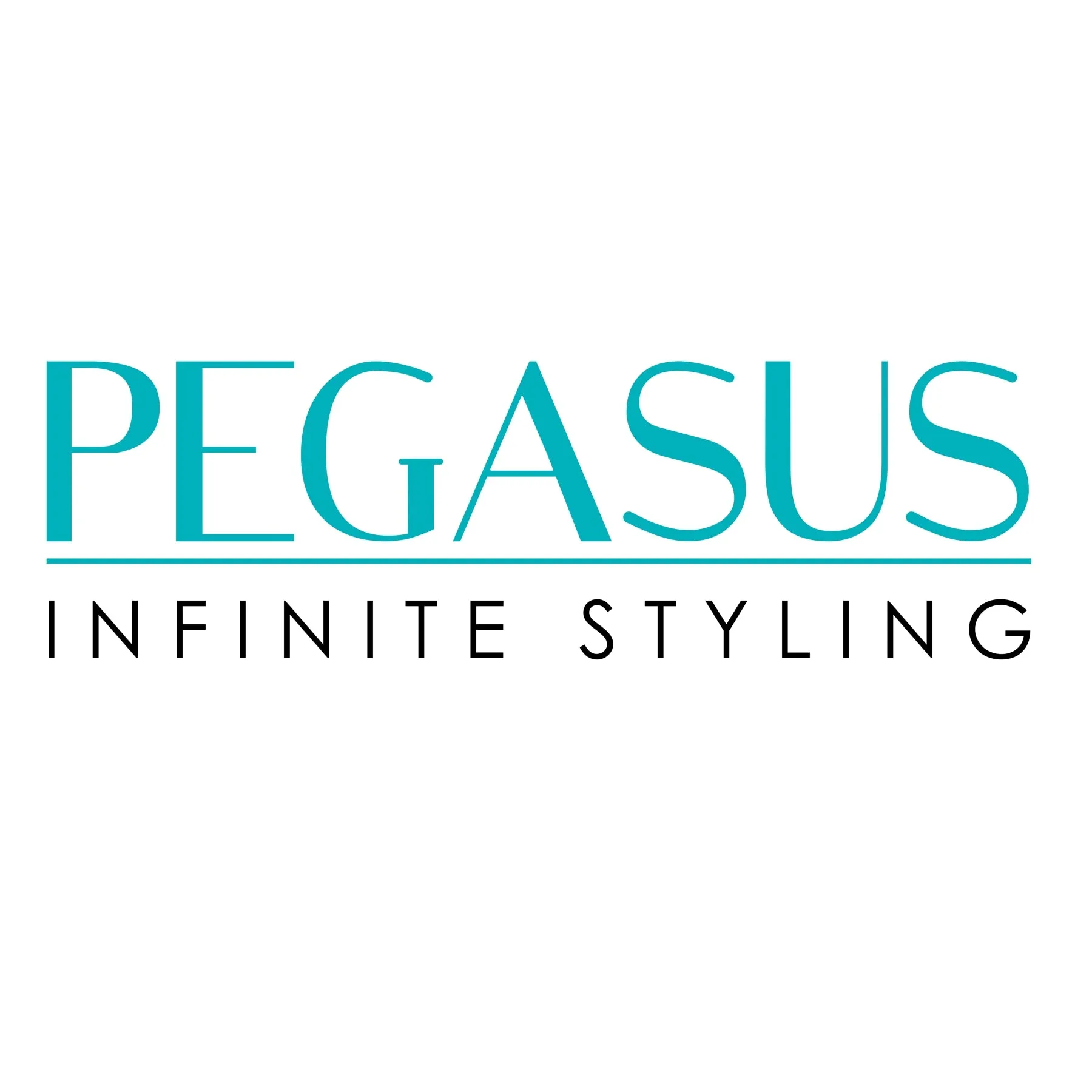 Pegasus 511_B1, 9in Curved Blow Dry Styler Comb, Handmade, Seamless, Smooth Edges, Anti Static, Heat and Chemically Resistant, Wet Hair, Everyday Grooming Comb | Peines de goma dura - Black