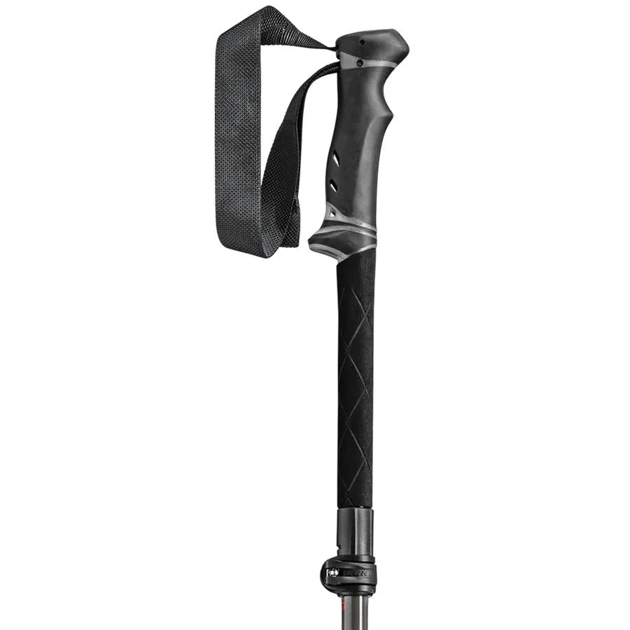 Pole Legacy FX TA - Pair