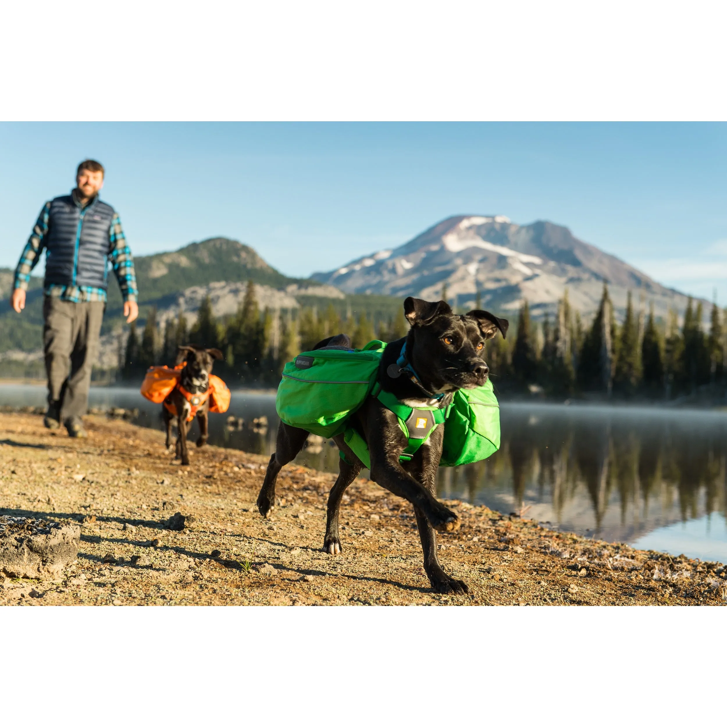 Ruffwear® | Approach Pack™ Everyday Hiking Dog Pack