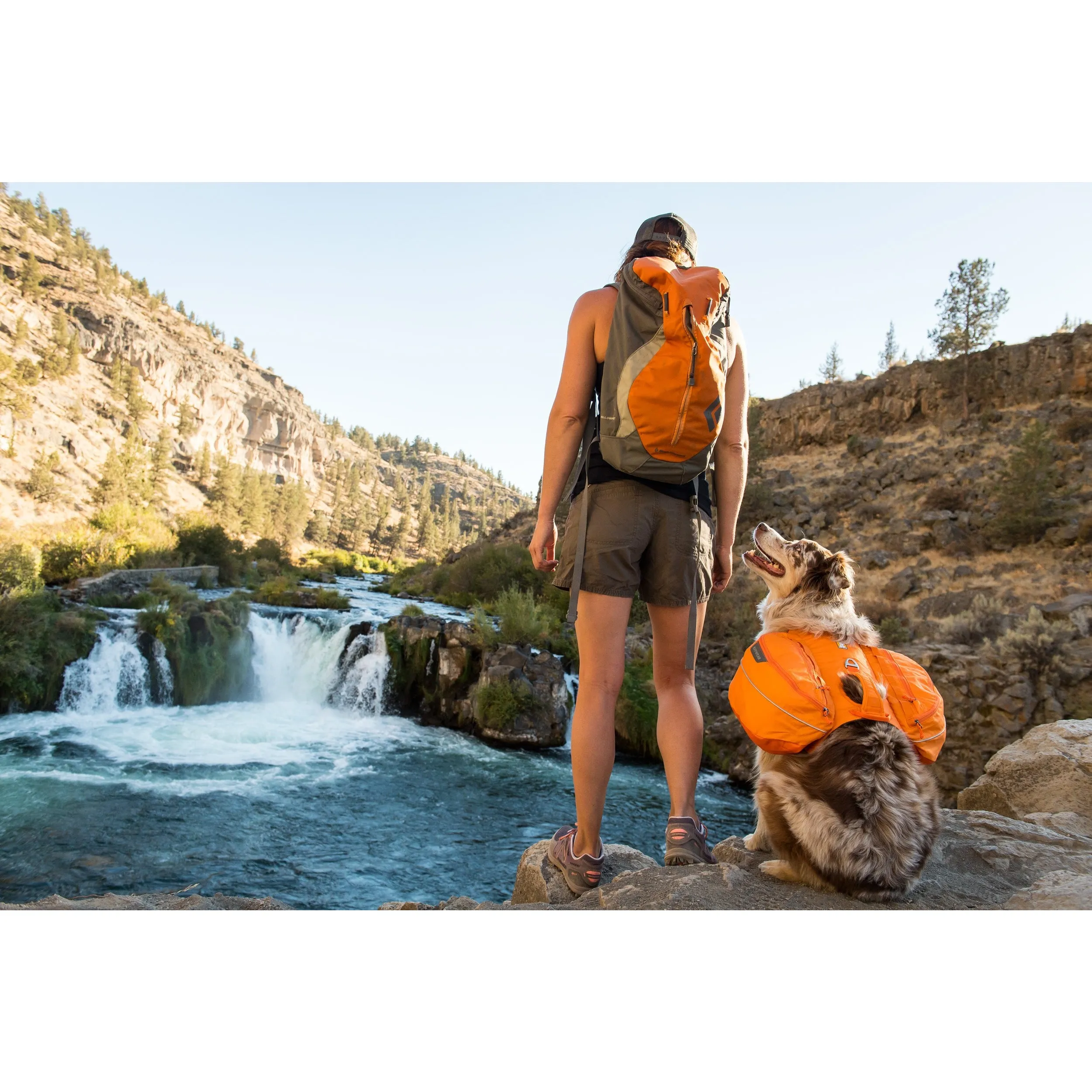 Ruffwear® | Approach Pack™ Everyday Hiking Dog Pack