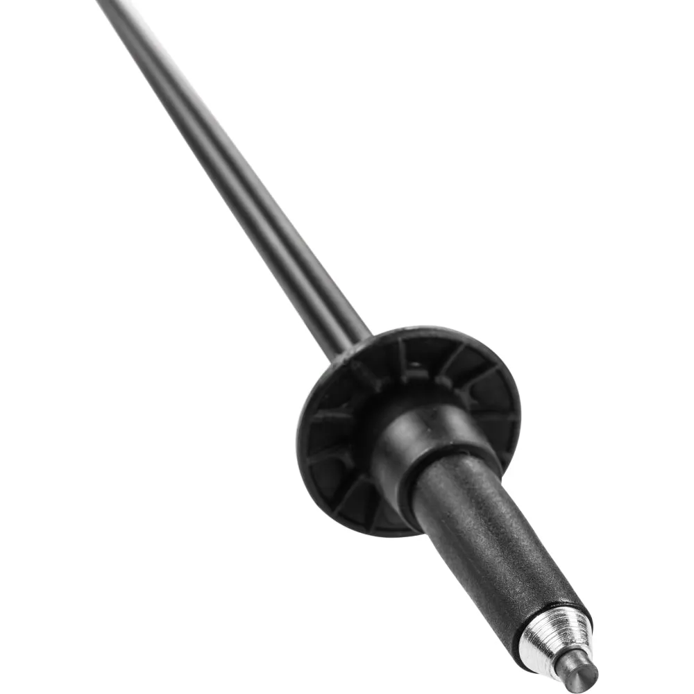 Spin Poles
